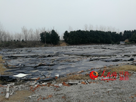 圖為如皋市長江鎮被污染的地塊，2018年6月這裡被中央環保督察組發現非法掩埋危險廢物，威脅長江水質安全。記者王繼亮攝