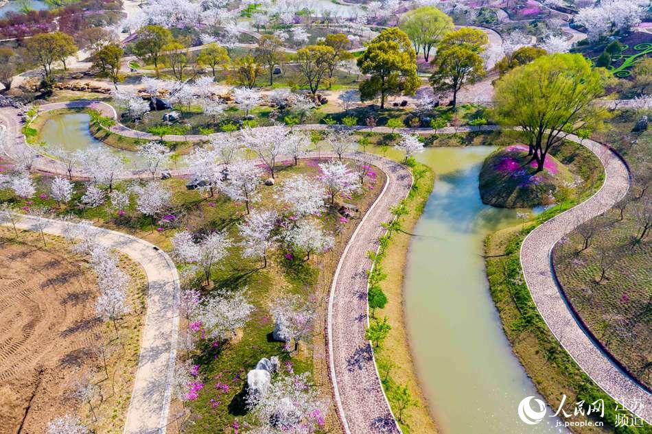 南通洲际梦幻岛迎来最美赏花季 年内投入运营