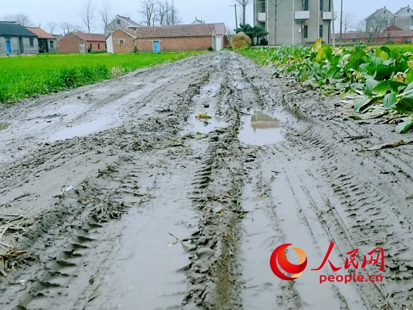蔡渡村中心路原来的“水泥”路。村民供图