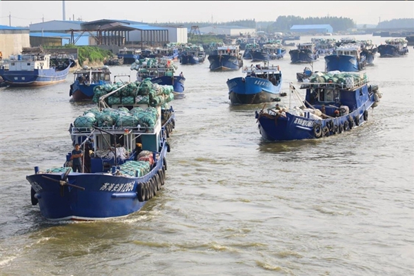 南通海安：渔船开捕