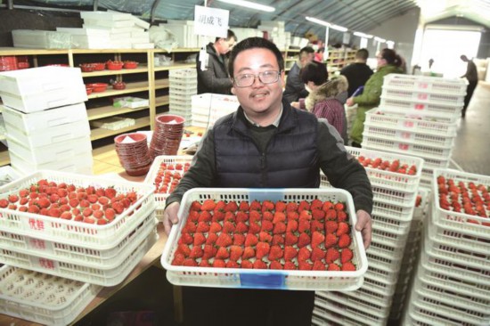 南通海安：特色精品果蔬种植助农增收
